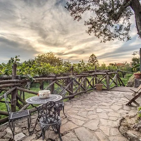 Aragona Historic With Views And Guest Services *